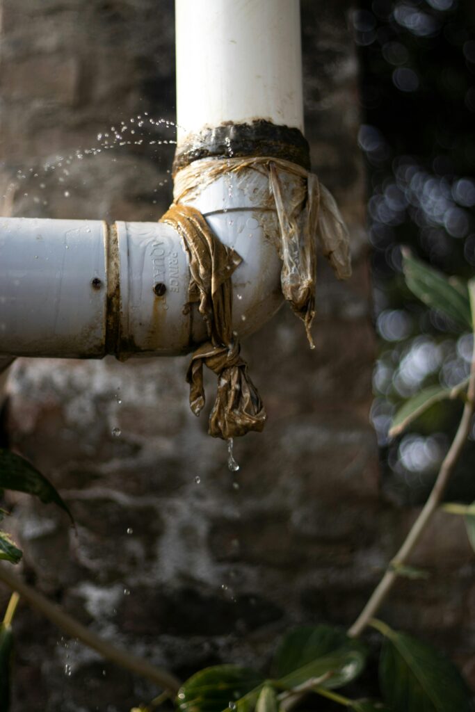 nasty plumbing issue elmira new york